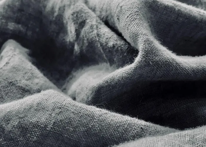 Economy Autto * 列维