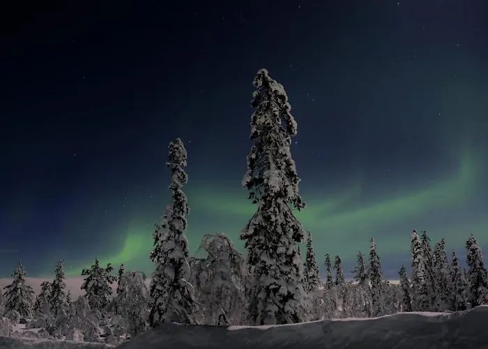 Economy Autto 度假居 列维