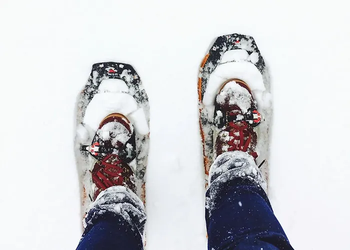 Economy Autto 度假居 *