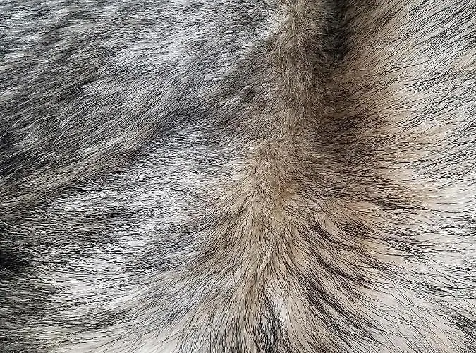 度假居 Economy Autto *