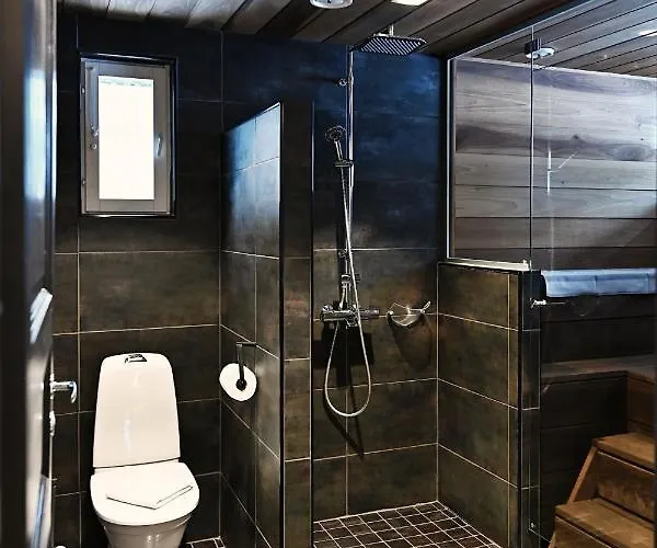 Economy Autto * 列维